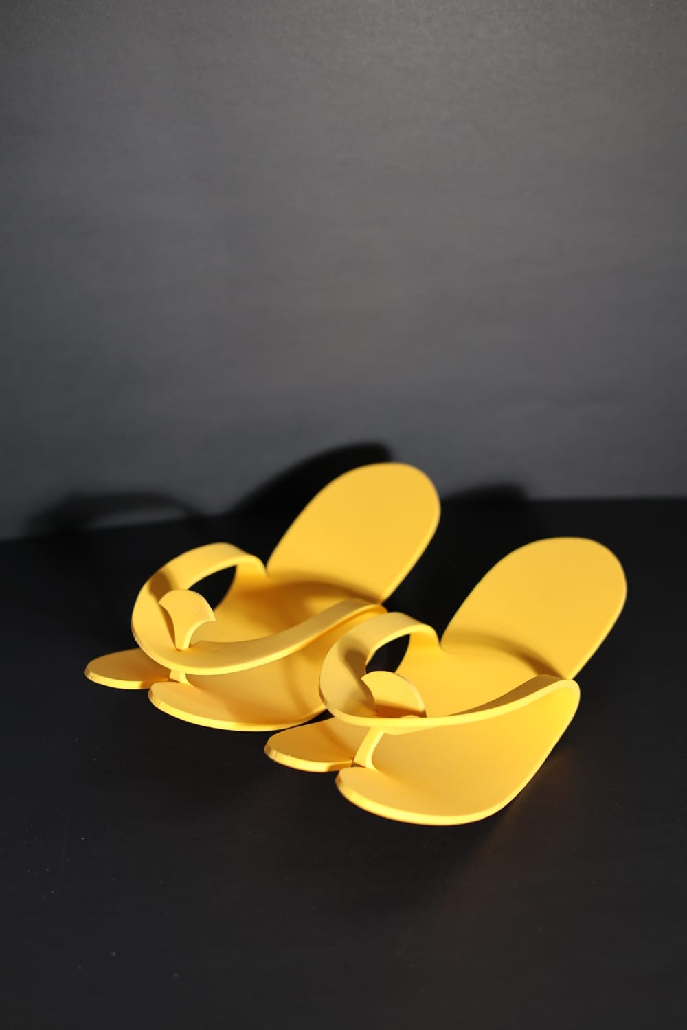 Slippers-20pcs