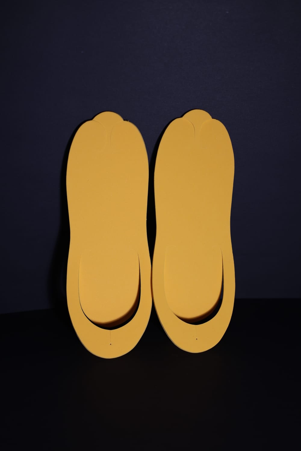 Slippers-20pcs